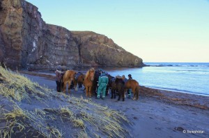 Kaldbakur Tour 2015 (4)